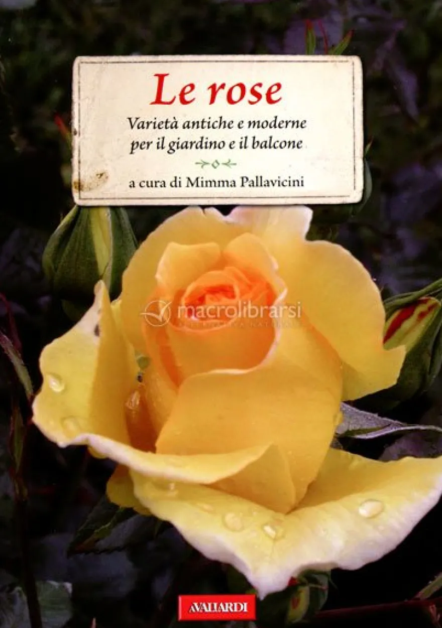 Le Rose - Varietà Antiche e Moderne per il Giardino e il Balcone