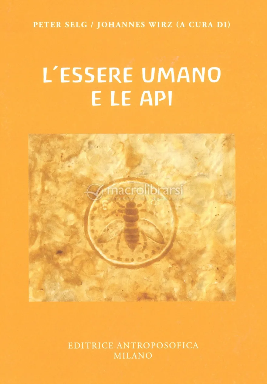 L'Essere Umano e le Api