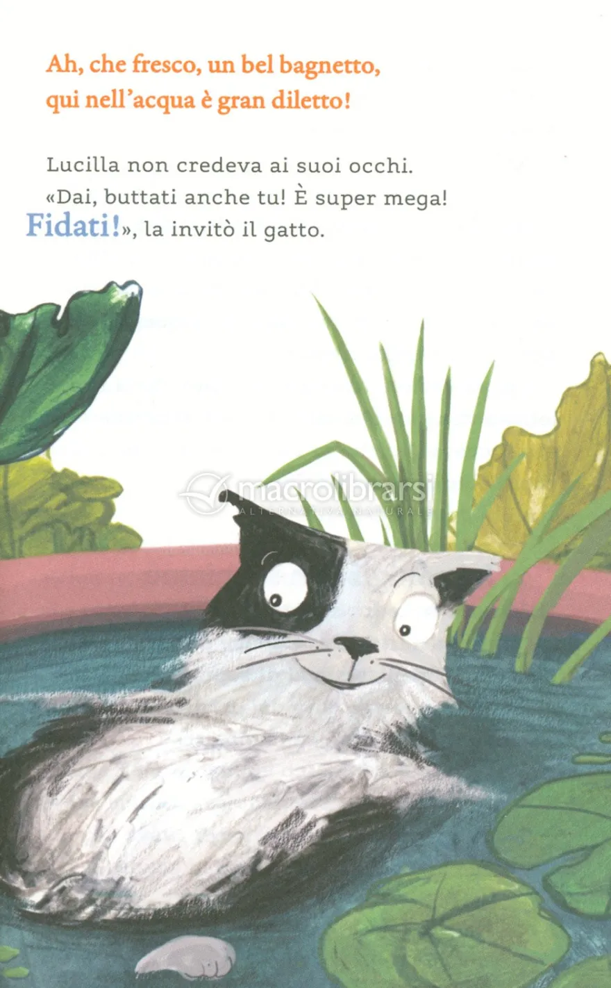 L'Estate delle Stelle Cadenti