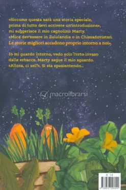 L'Estate delle Stelle Cadenti