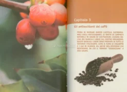 Le Virtù del Caffè