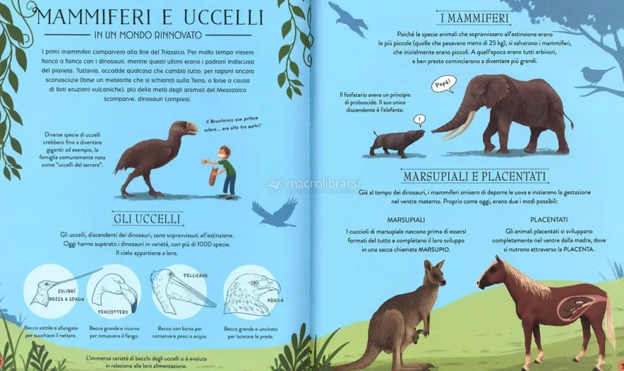 L'Evoluzione della Vita sulla Terra