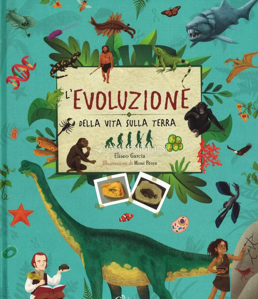 L'Evoluzione della Vita sulla Terra