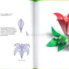 Lezioni di Origami