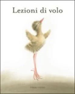 Lezioni di Volo