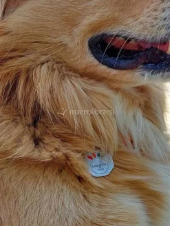 Libratum® Pets - Cane