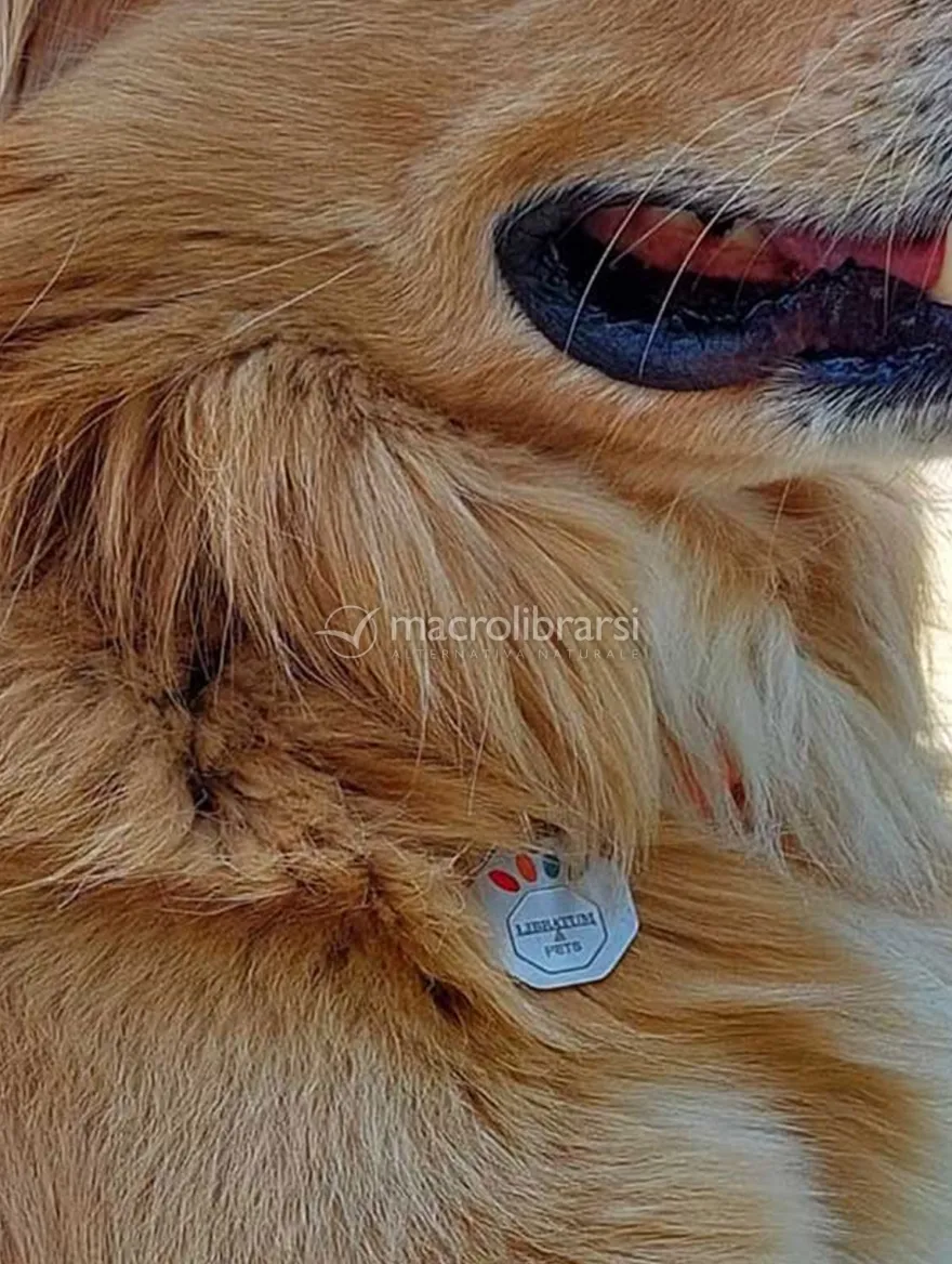 Libratum® Pets - Cane