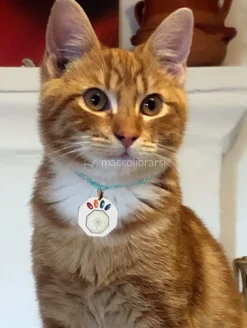 Libratum® Pets - Gatto