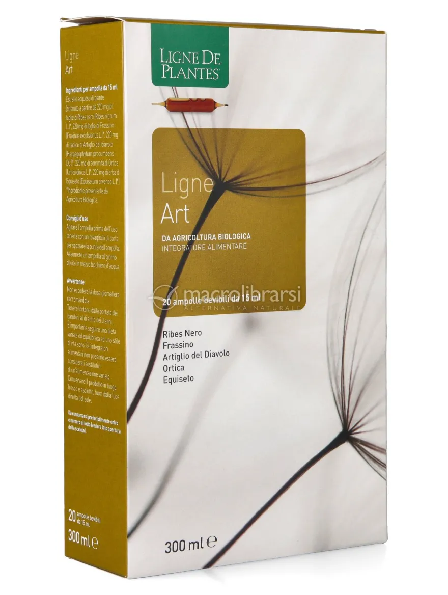 Ligne Art - Ampolle