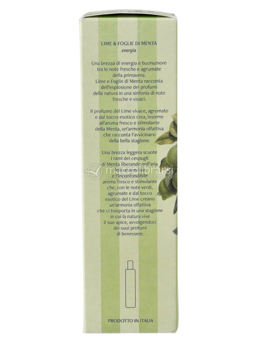 Lime e Foglie di Menta - Spray Ambiente "Energia"