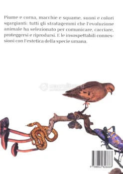 L'Incanto degli Animali