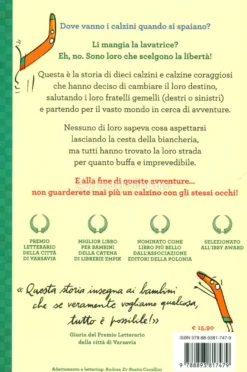 L'Incredibile Avventura dei 10 Calzini Fuggiti (4 Destri e 6 Sinistri)