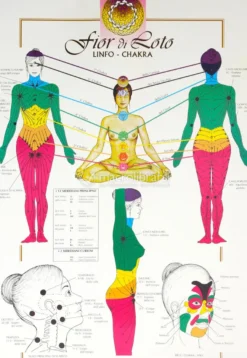 Linfo Chakra