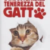 L'insostenibile Tenerazza del Gatto