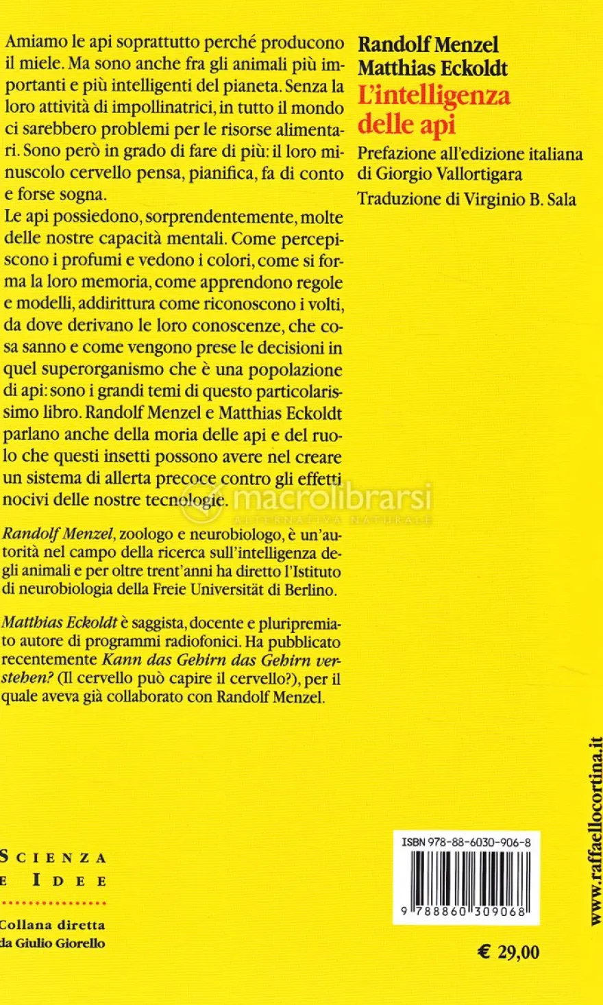 L'Intelligenza delle Api