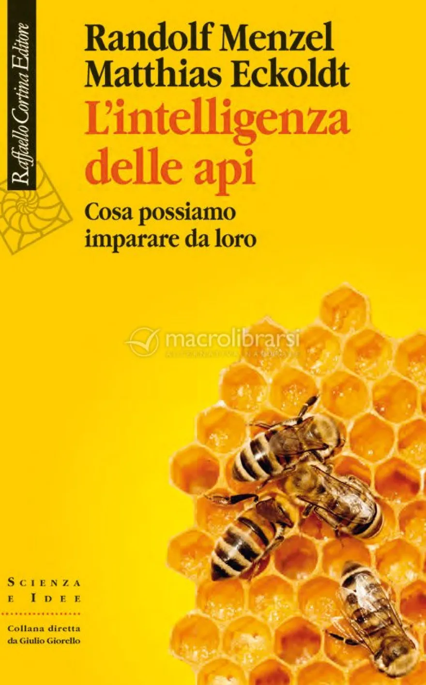 L'Intelligenza delle Api