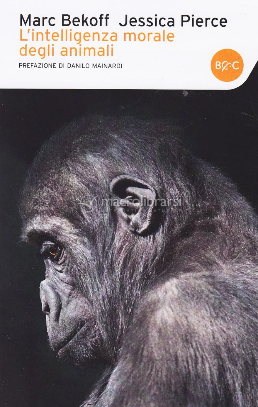 L'Intelligenza Morale degli Animali