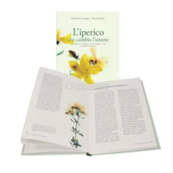 L'iperico che Cambia l'Umore