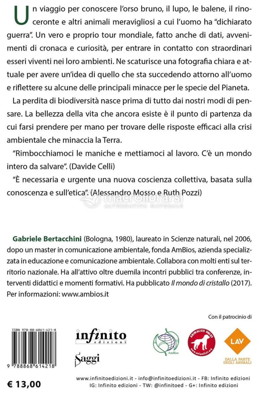 L'Orso non è Invitato
