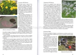 L'Orticoltore Biodinamico