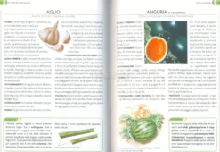 L'Orto - Coltivarlo in Modo Sano e Naturale