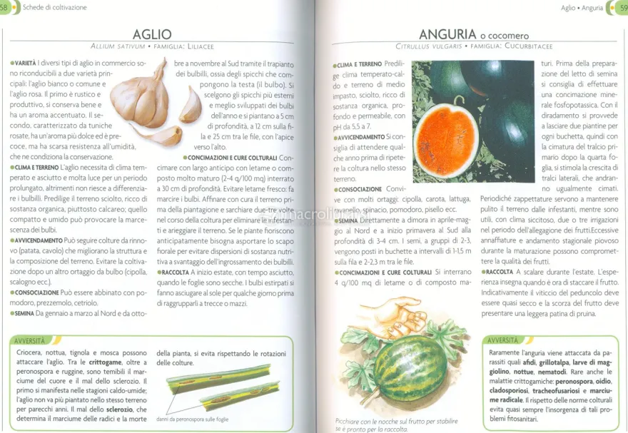 L'Orto - Coltivarlo in Modo Sano e Naturale