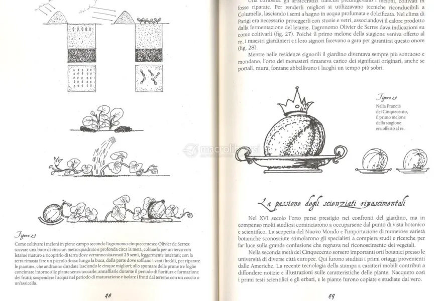 L'Orto e l'Anima