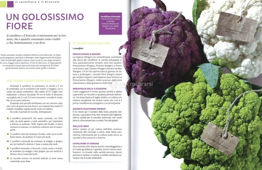 L'Orto Goloso