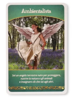Lo Scopo della Vita - 44 Carte