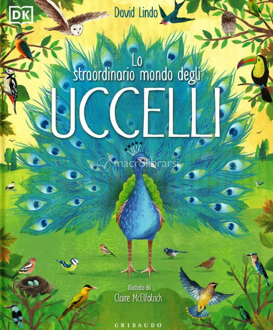Lo Straordinario Mondo degli Uccelli