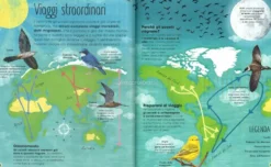 Lo Straordinario Mondo degli Uccelli