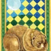 Luna Rossa - L'Oracolo degli Animali Sacri