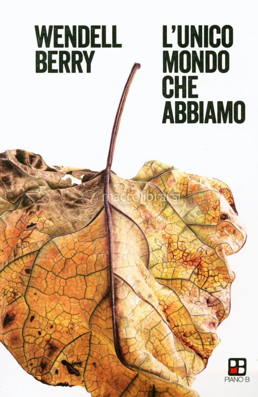 L'Unico Mondo che Abbiamo