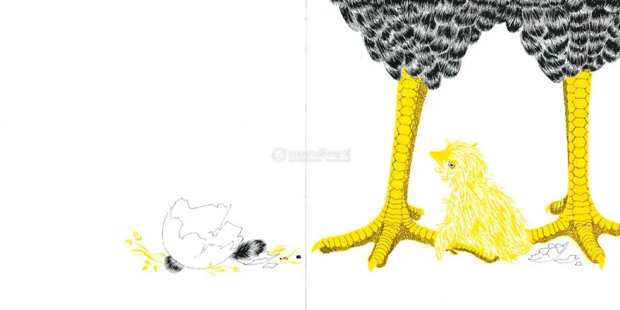 L'Uovo e la Gallina