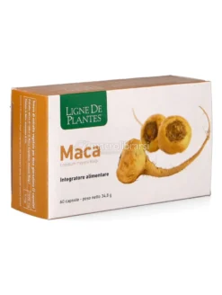 Maca - 60 Capsule