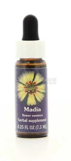 Madia - Fiori californiani