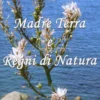 Madre Terra e Regni di Natura