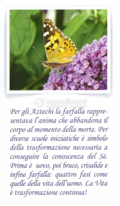 Madre Terra e Regni di Natura