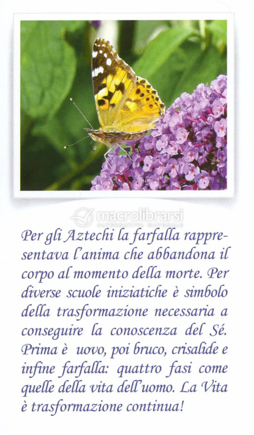Madre Terra e Regni di Natura