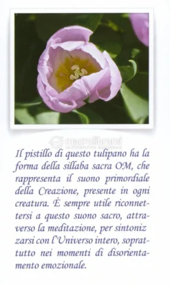 Madre Terra e Regni di Natura