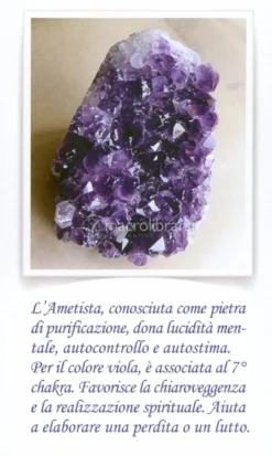Madre Terra e Regni di Natura