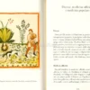 Maghi, Streghe e Guaritori