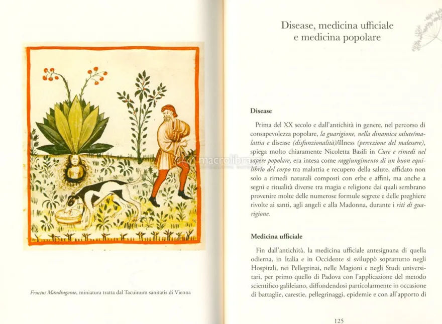 Maghi, Streghe e Guaritori