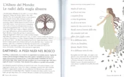 Magia Nordica