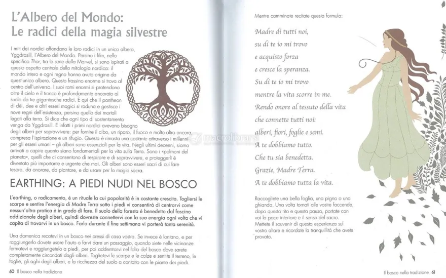 Magia Nordica
