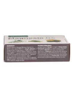 Magnesio B6 + Bacopa + Ginkgo Biloba + Rodiola - Capsule