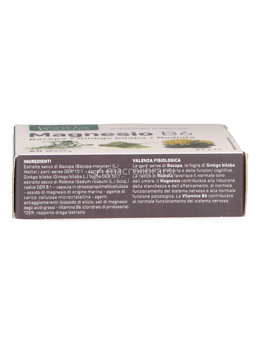 Magnesio B6 + Bacopa + Ginkgo Biloba + Rodiola - Capsule