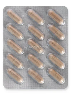 Magnesio B6 + Bacopa + Ginkgo Biloba + Rodiola - Capsule