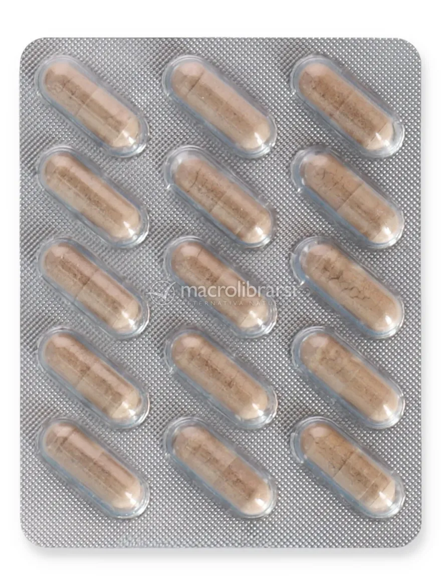 Magnesio B6 + Bacopa + Ginkgo Biloba + Rodiola - Capsule
