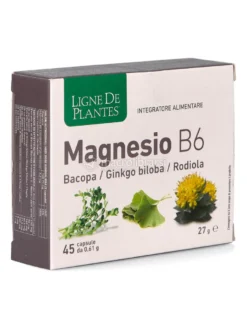 Magnesio B6 + Bacopa + Ginkgo Biloba + Rodiola - Capsule